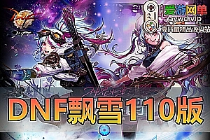 亲测内容【DNF110级飘雪微变】女鬼剑女圣职者魔枪士虚拟机一键端视频安装教学巴卡尔副本直升满级体验畅快副本