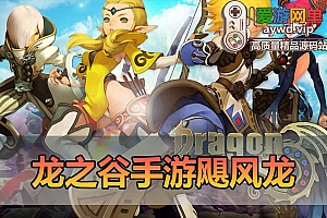 爱游网单亲测【龙之谷手游】飓风龙仿官无魔改版本 GM网页物品充值后台 虚拟机一键端模拟器手游 视频安装教学